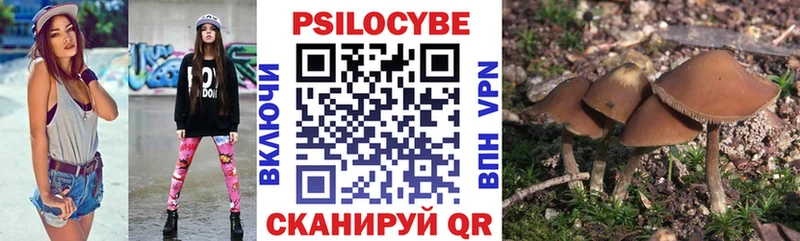 Псилоцибиновые грибы мухоморы кракен маркетплейс Дзержинский что такое
